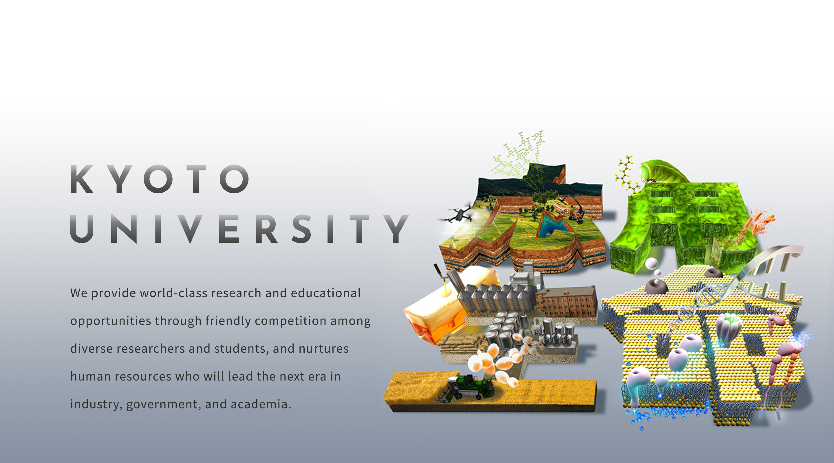 応用生命 KYOTO UNIVERSITY  We provide world-class research and educational opportunities through friendly competition among diverse researchers and students, and nurtures human resources who will lead the next era in industry, government, and academia.